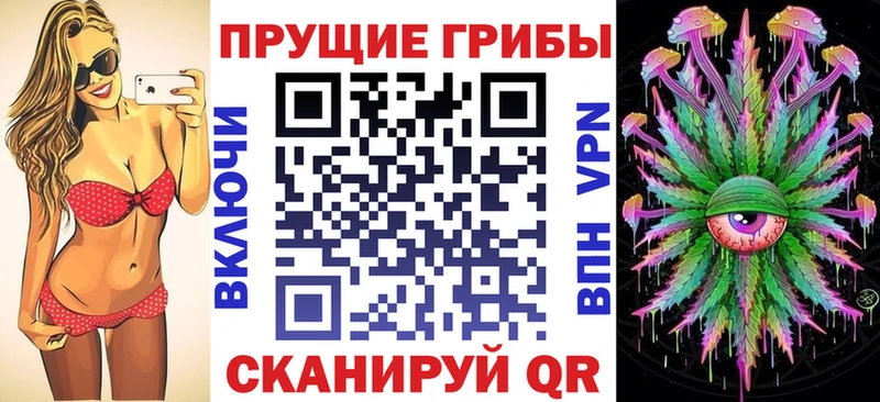 Псилоцибиновые грибы Cubensis Королёв